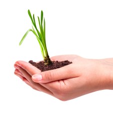 shutterstock_160565801-new-growth-hands-with-plant